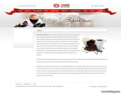 松江企業(yè)網站建設 從設計制作到專業(yè)維護的一站式服務